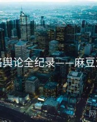 热辣网络舆论全纪录——麻豆流量密码