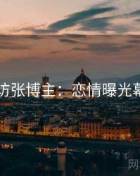 91网专访张博主：恋情曝光幕后故事