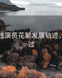 欧美在线演员花絮发展轨迹，不容错过
