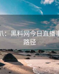 独家深扒：黑料网今日直播事故传播路径