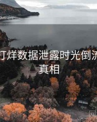 黑料不打烊数据泄露时光倒流，揭秘真相