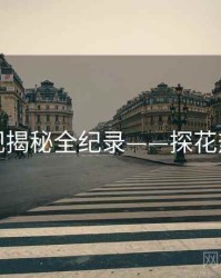 高清影视揭秘全纪录——探花热度逻辑