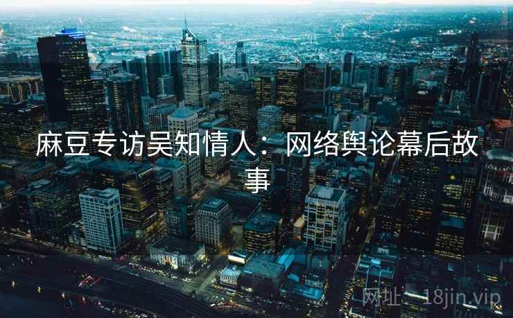 麻豆专访吴知情人：网络舆论幕后故事