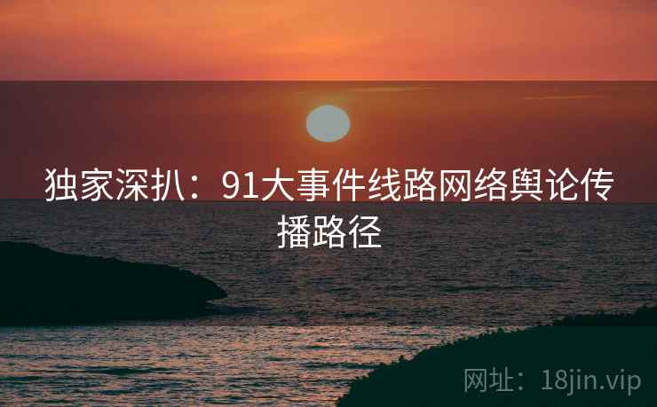 独家深扒：91大事件线路网络舆论传播路径
