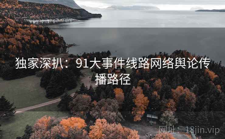 独家深扒：91大事件线路网络舆论传播路径