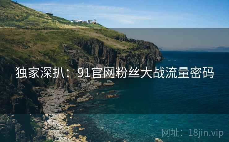 独家深扒：91官网粉丝大战流量密码