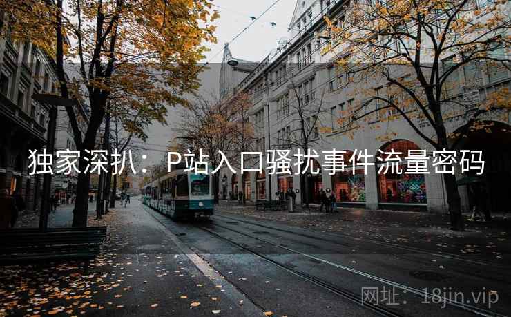独家深扒：P站入口骚扰事件流量密码