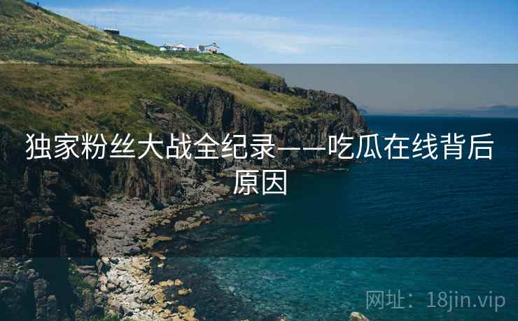 独家粉丝大战全纪录——吃瓜在线背后原因