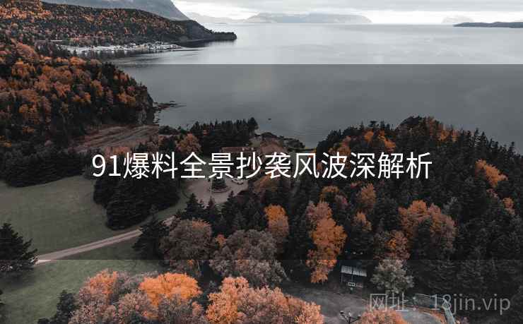 91爆料全景抄袭风波深解析