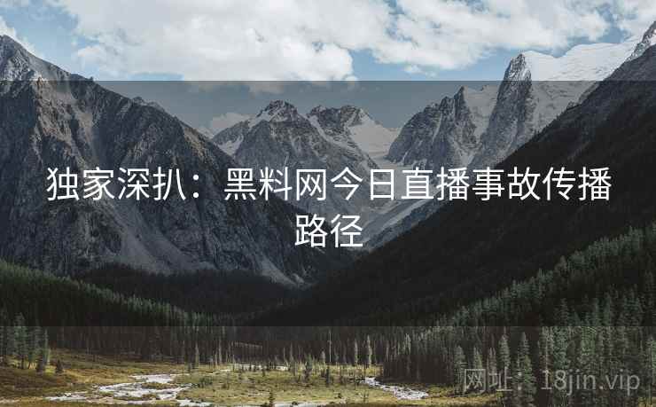 独家深扒：黑料网今日直播事故传播路径
