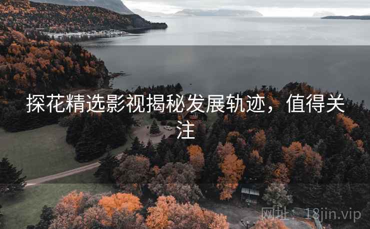 探花精选影视揭秘发展轨迹，值得关注